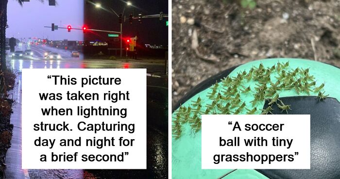 This Online Group Explores The Weird And Wonderful Side Of Everyday Life (119 Pics)