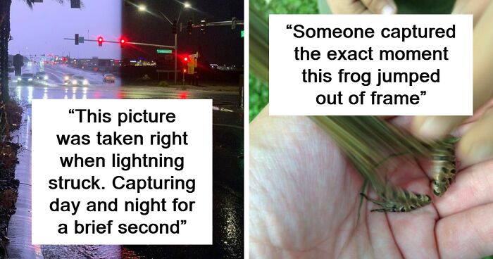 This Online Group Explores The Weird And Wonderful Side Of Everyday Life (119 Pics)
