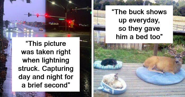 50 Photos To Slightly Amuse and Intrigue You, As Shared On This Instagram Page