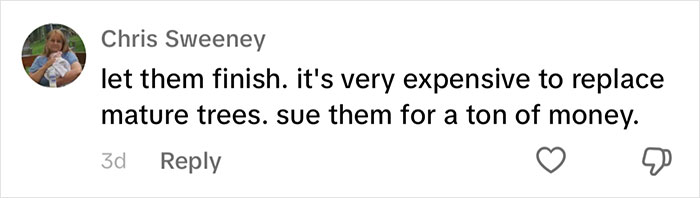 Woman Looks On In Shock As Landscapers Sent By Neighbors Enter Her Yard And Chop All Her Trees Woman Looks On In Shock As Landscapers Sent By Neighbors Enter Her Yard And Chop All Her Trees