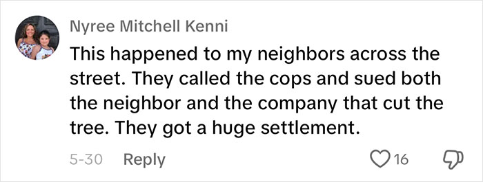Woman Looks On In Shock As Landscapers Sent By Neighbors Enter Her Yard And Chop All Her Trees Woman Looks On In Shock As Landscapers Sent By Neighbors Enter Her Yard And Chop All Her Trees