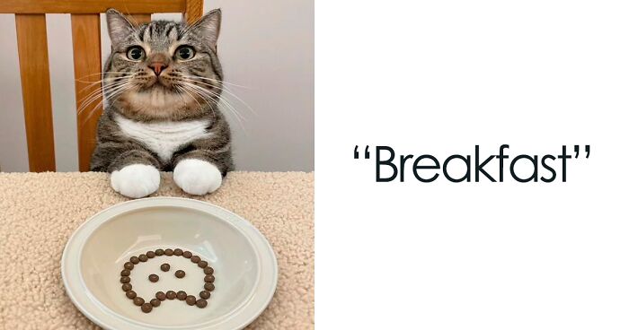 50 New Pics From The “Out Of Context” X Page To Brighten Up Your Day