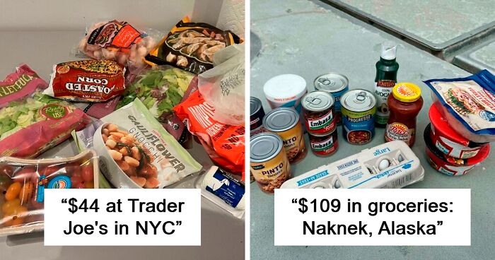 80 People Show How Much Groceries Cost Where They Live (New Pics)