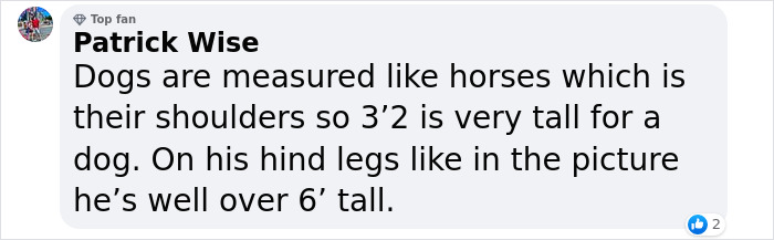 Meet Kevin, The World’s Tallest Living Dog From West Des Moines, Iowa Meet Kevin, The World’s Tallest Living Dog From West Des Moines, Iowa