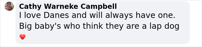 Meet Kevin, The World’s Tallest Living Dog From West Des Moines, Iowa Meet Kevin, The World’s Tallest Living Dog From West Des Moines, Iowa