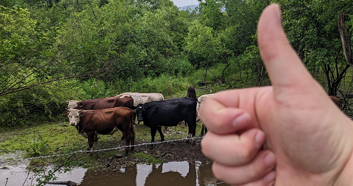 Overweight Teen Starts A Fitness Revolution Online As His Posts Become Inspiration For Many Netizens