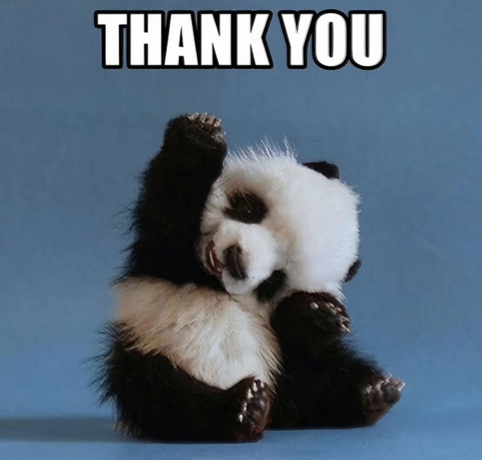 40 Thank You Memes That Are Too Funny Not To Share Bored Panda