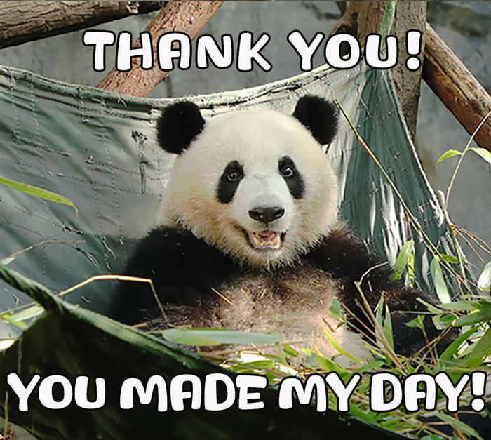 40 Thank You Memes That Are Too Funny Not To Share Bored Panda