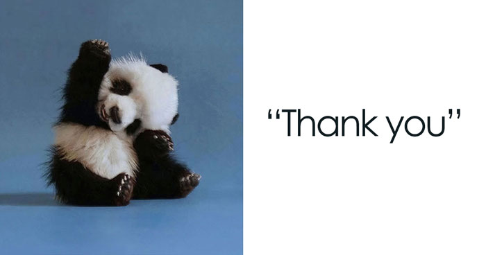 40 Thank You Memes That Are Too Funny Not To Share