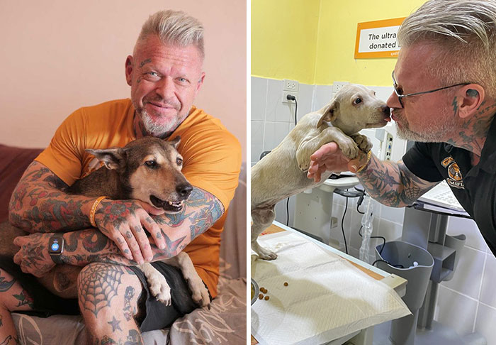 This Chef Found His True Calling Rescuing Stray Dogs In Thailand