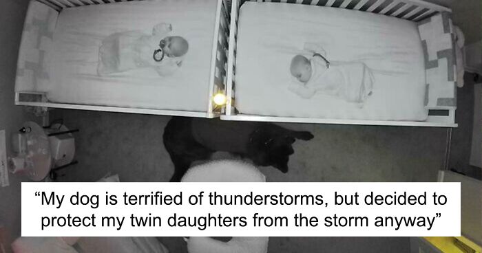 50 Times Animals Were Being So Cute, People Just Had To Snap A Pic (New Pics)