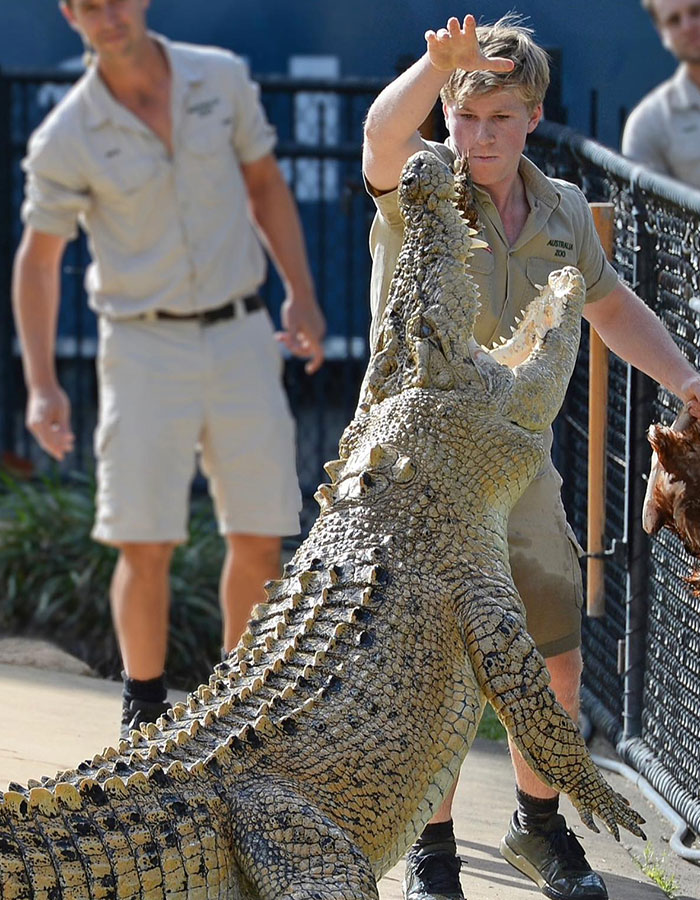 Robert Irwin Claims Cartoon Depicting Him Is “Defamation,” Threatens To Sue Party Leader Robert Irwin Claims Cartoon Depicting Him Is “Defamation,” Threatens To Sue Party Leader