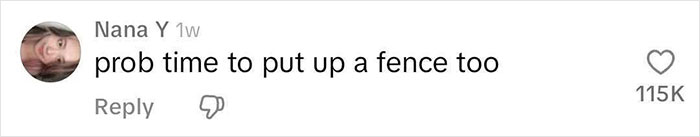 Screenshot of a social media comment suggesting to put up a fence after strangers start having a picnic in a yard. Screenshot of a social media comment suggesting to put up a fence after strangers start having a picnic in a yard.
