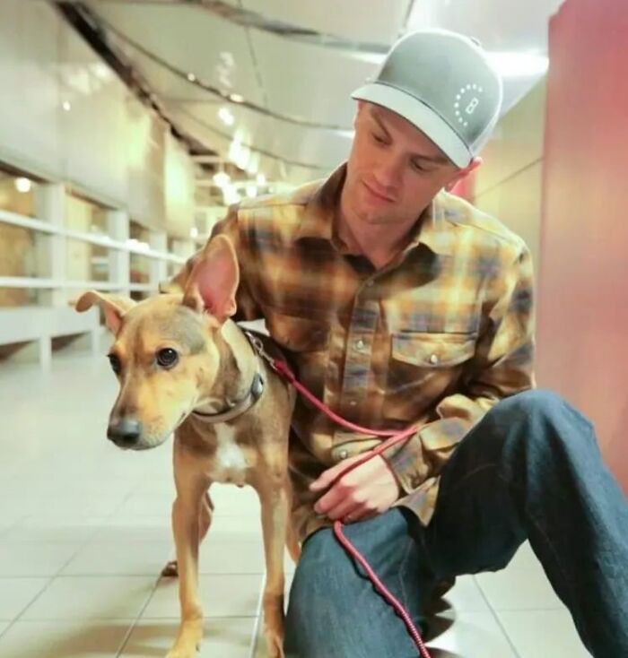 Man with a rescued dog on a red leash, wearing a plaid shirt and cap, sitting indoors. Man with a rescued dog on a red leash, wearing a plaid shirt and cap, sitting indoors.