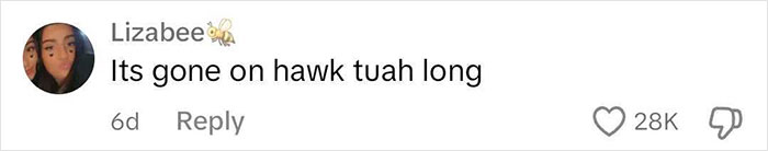 Comment about Hailey Welch's appearance, mentioning "hawk tuah," with 28K likes and a bee emoji. Comment about Hailey Welch's appearance, mentioning "hawk tuah," with 28K likes and a bee emoji.
