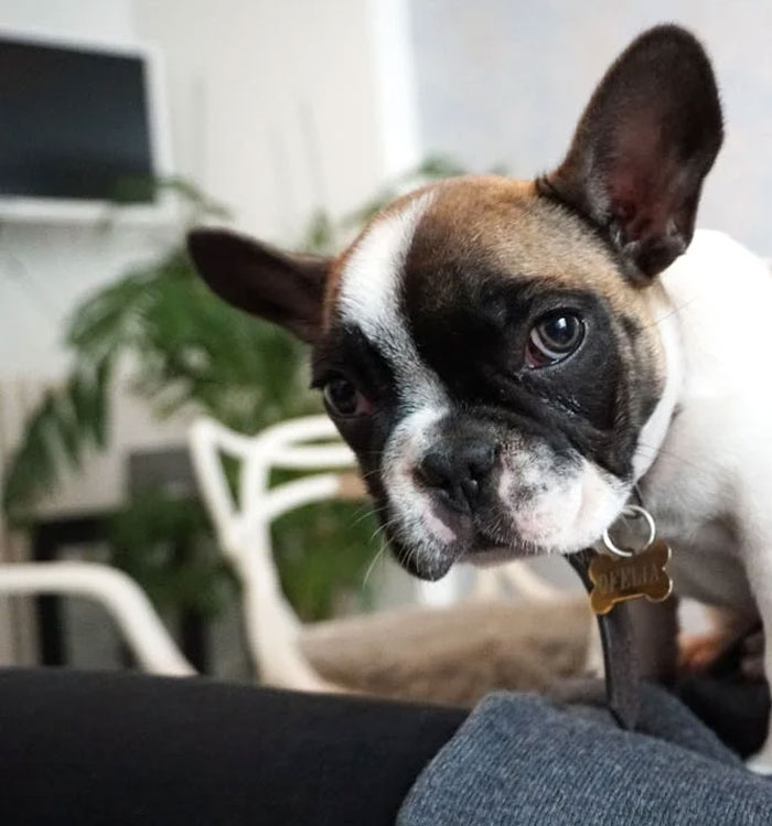 “Once Was Enough Forever”: 30 ‘Anti-Bucket List’ Things People Swear Never To Do Again “Once Was Enough Forever”: 30 ‘Anti-Bucket List’ Things People Swear Never To Do Again