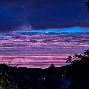 denicechallenger avatar