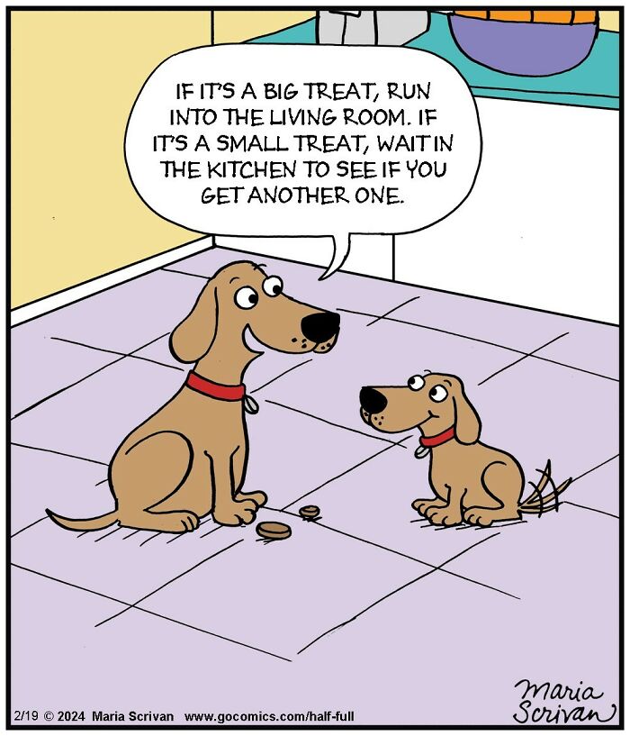 Two cartoon dogs with collars in a kitchen, featuring funny characters and absurd situations in a comic style.
