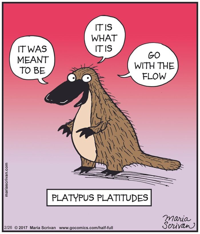 Cartoon of a platypus character sharing funny platitudes in a comic featuring humorous and absurd situations.