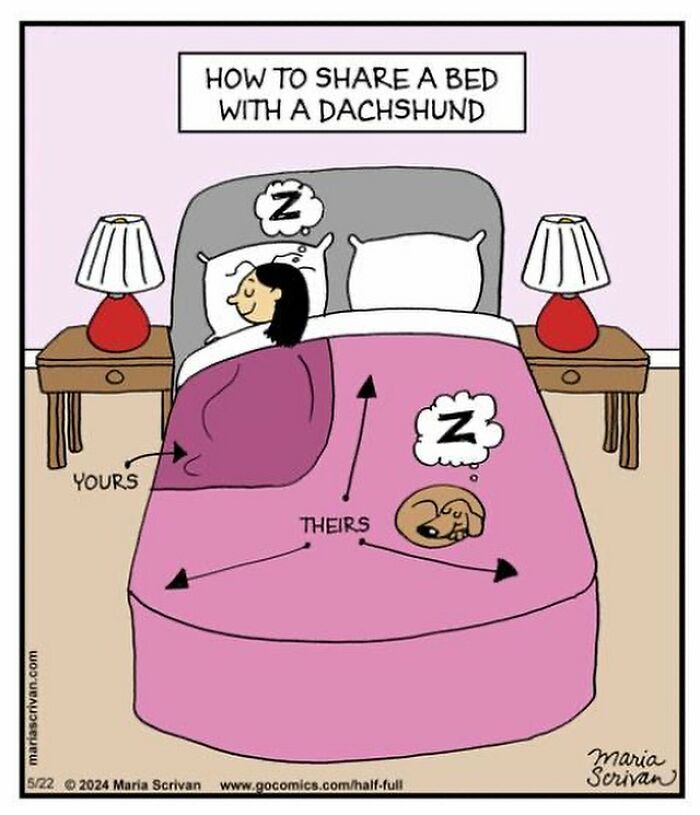 Comic showing a funny character sharing a bed with a dachshund, highlighting absurd and humorous situations.