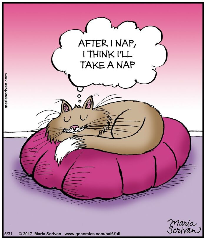 Funny comic featuring a cat sleeping on a cushion with a humorous thought about taking a nap again.