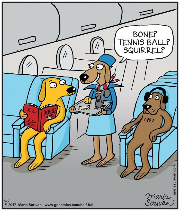 Cartoon dogs as airplane passengers with a flight attendant dog offering a choice of bone, tennis ball, or squirrel.