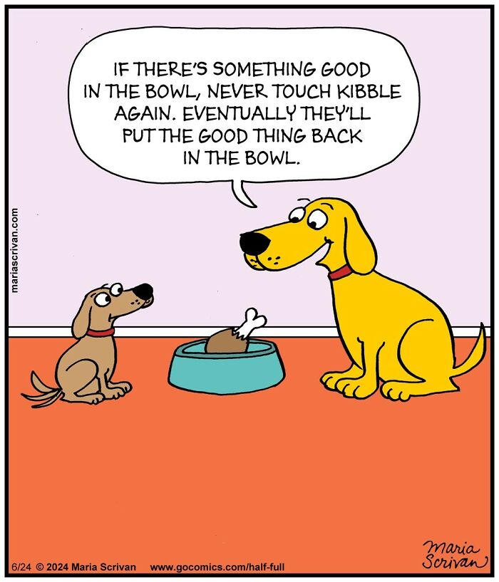 Comic featuring funny characters with dogs and absurd situations about choosing food in a bowl by the artist Maria Scrivan