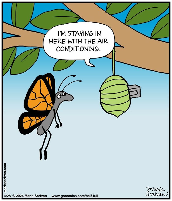 Comic of a butterfly humorously choosing to stay inside a cocoon with air conditioning, featuring funny characters and absurd situations.