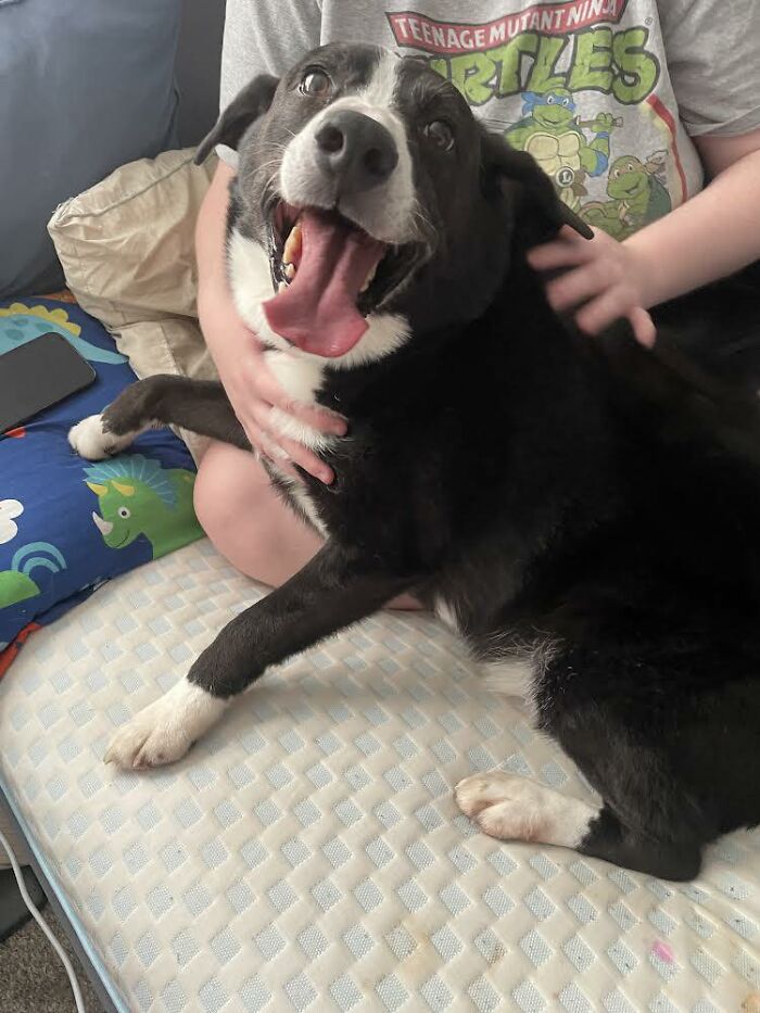 Through The Shelter Doors One Last Time: Family Returns ‘Heartbroken’ Dog to Shelter After 8 Years Through The Shelter Doors One Last Time: Family Returns ‘Heartbroken’ Dog to Shelter After 8 Years