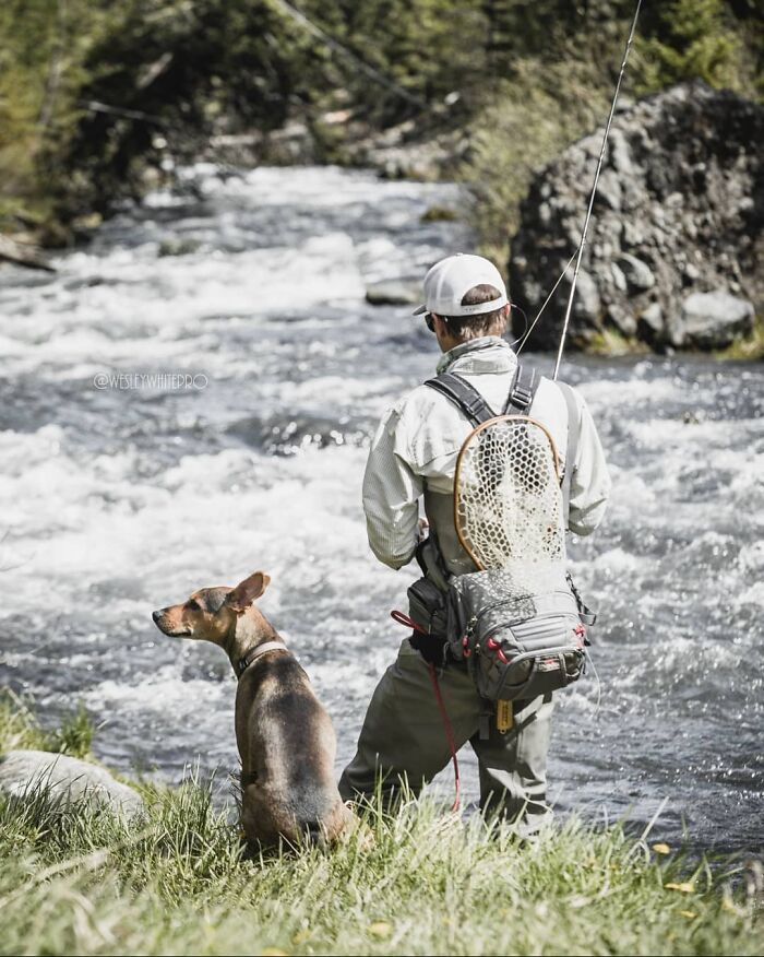 Man fishing by a river, a dog sitting beside him, showcasing a heartwarming rescue story from a remote island. Man fishing by a river, a dog sitting beside him, showcasing a heartwarming rescue story from a remote island.