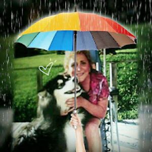 terribellmanward avatar