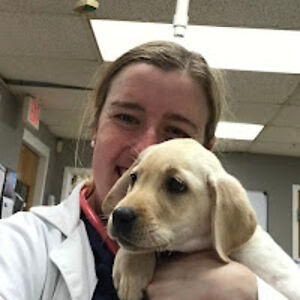 carolinecofer avatar