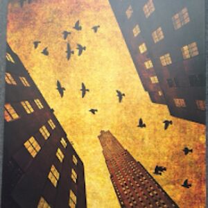 luisgarcia-rebollo avatar