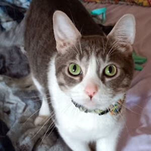 alexandriahammer avatar