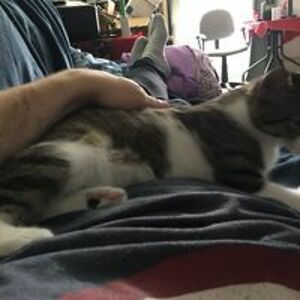 anthony_irwin_1 avatar