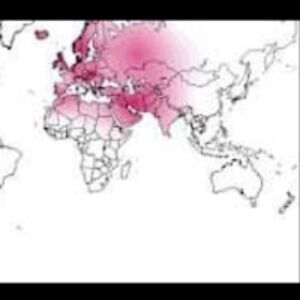 johnpaulgettelman avatar