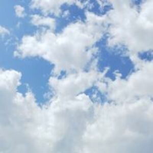 sjharrison2011 avatar