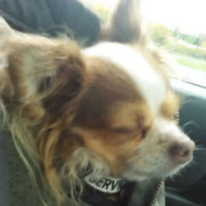 terricurriecu44 avatar