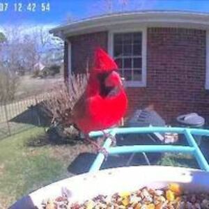 monica_e_hess avatar