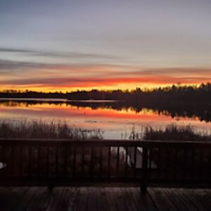 barbarawirkus avatar