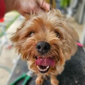 jenifer_davis avatar