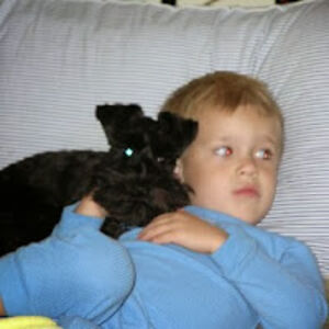 michellelawson avatar