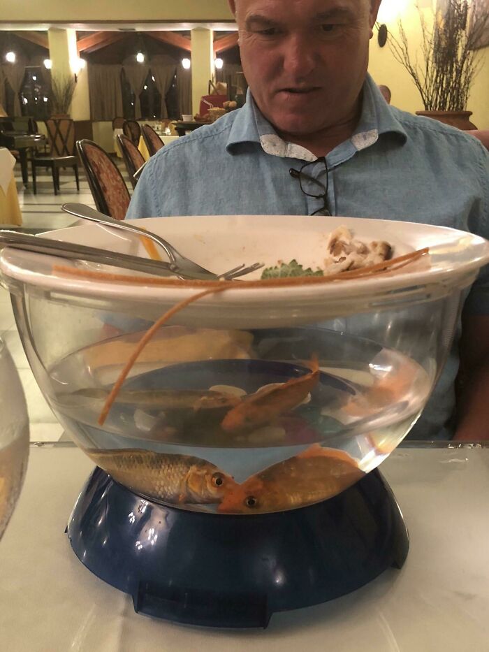 Man looking at a fishbowl used as a plate, showcasing one of the most ridiculous ways people had their food served in restaurants.