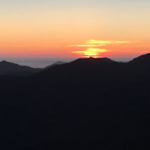 rachelannwilson avatar