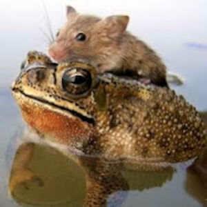 galileonprime avatar