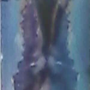 slametdinataanindita2b avatar