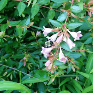 lorijohnson_2 avatar