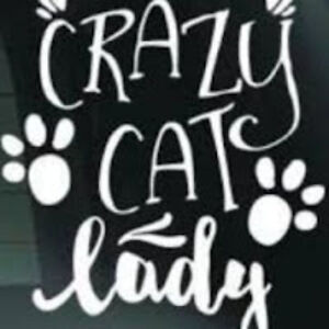 pippasymington avatar