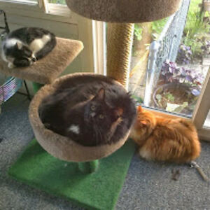 louisewolfram avatar