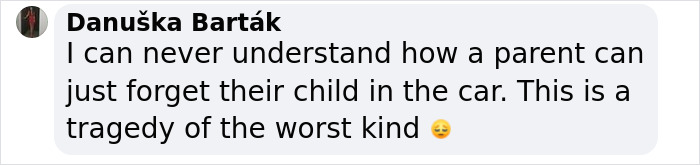 Wife Defends Dad Who Tragically Left Two-Year-Old Daughter In Hot Car While Playing Video Games Wife Defends Dad Who Tragically Left Two-Year-Old Daughter In Hot Car While Playing Video Games